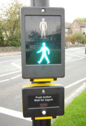 PuffinCrossing[1]